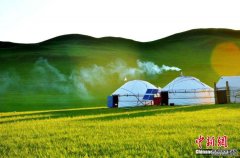盛夏来临 内蒙古“草原屏保壁纸”已上新